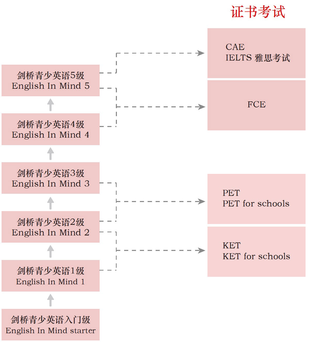 青岛少儿英语培训